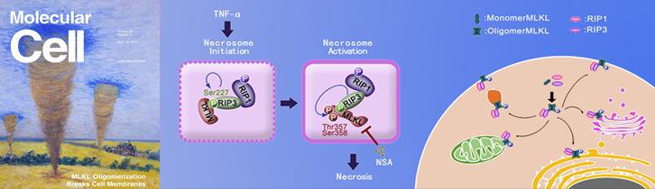 1599041009161308.png 6.png