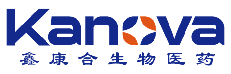 1599041032866478.png 10.png