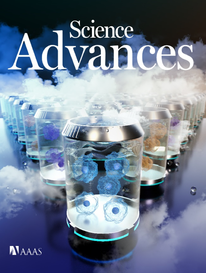 1608281892928279.png 12.png