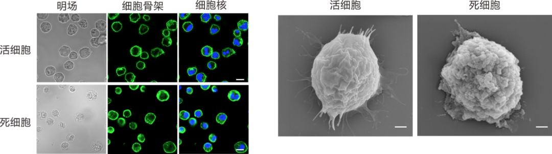 1608281917509640.png 15.png