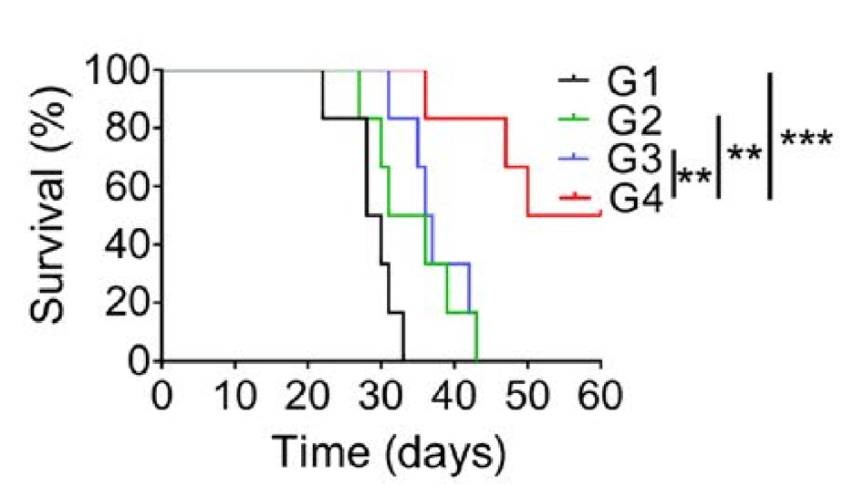 1608281929189979.png 17.png