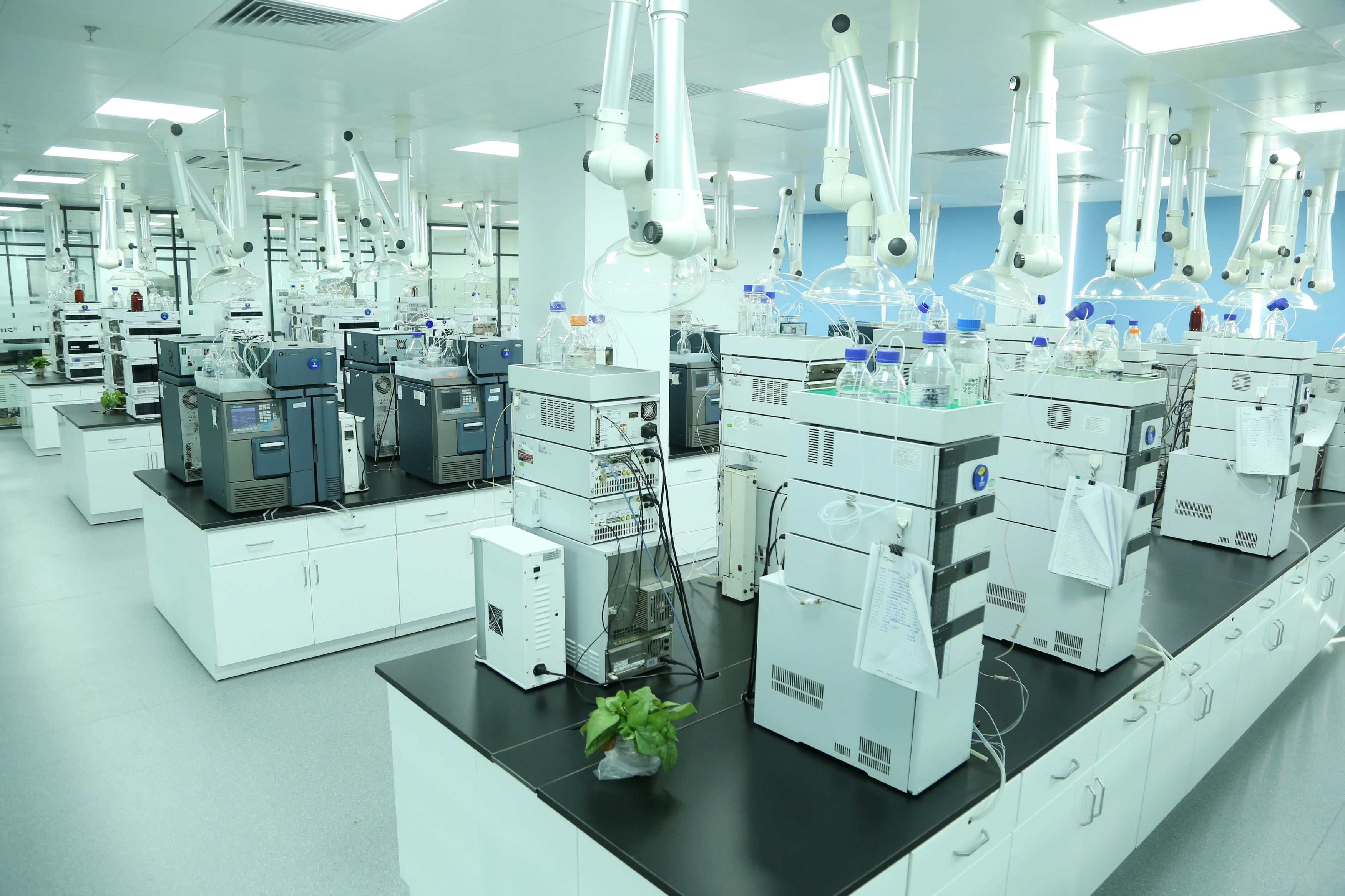 1612251952780981.jpg 16.jpg