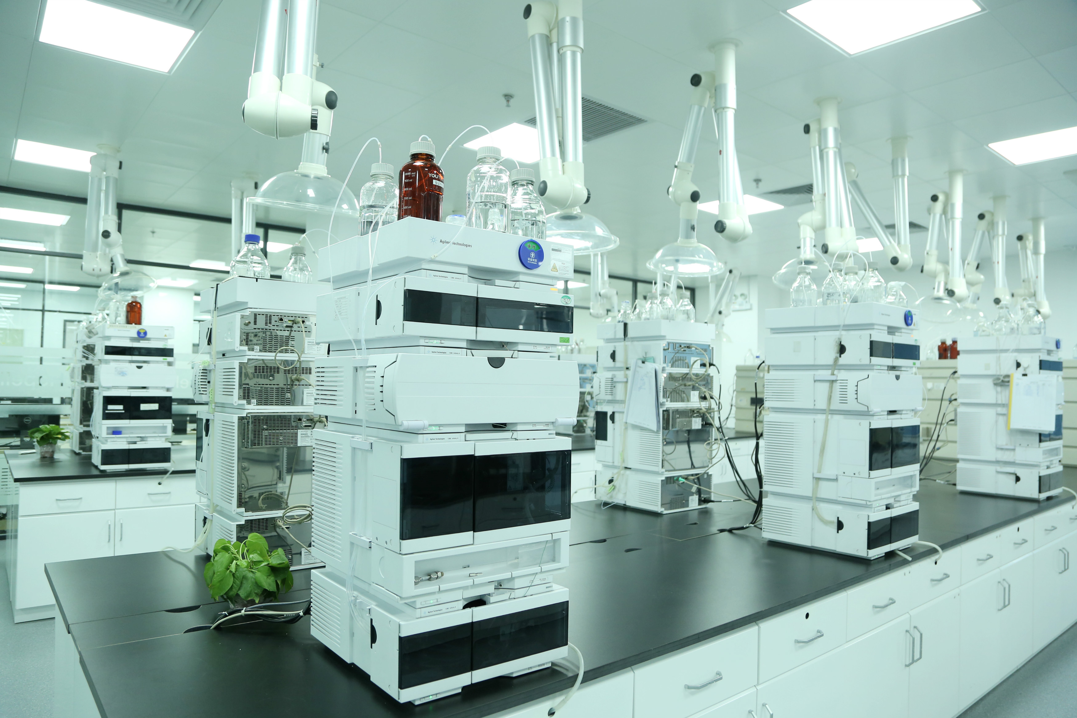 1612251982919113.jpg 7.jpg