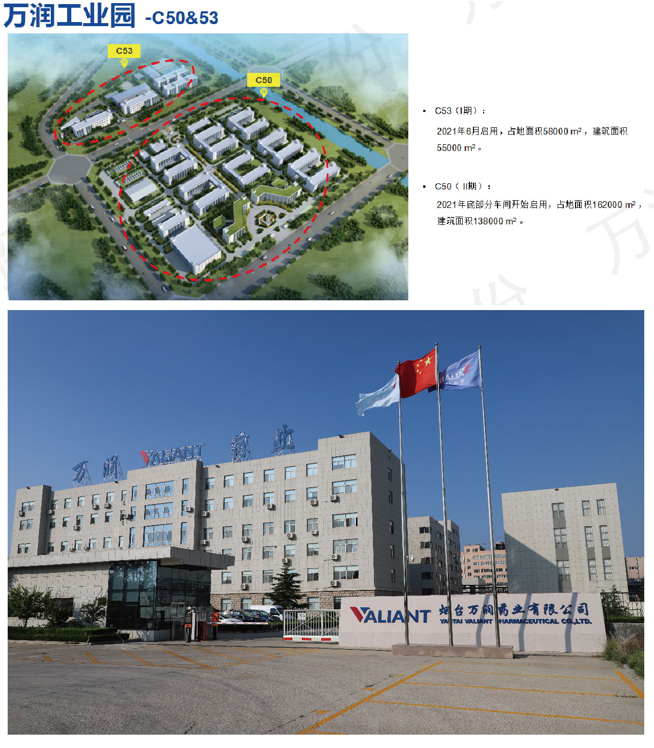 新聞-單頁_畫板 1.jpg