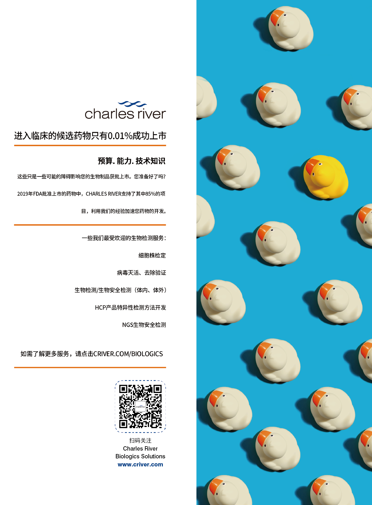 charles_river_畫板 1.png