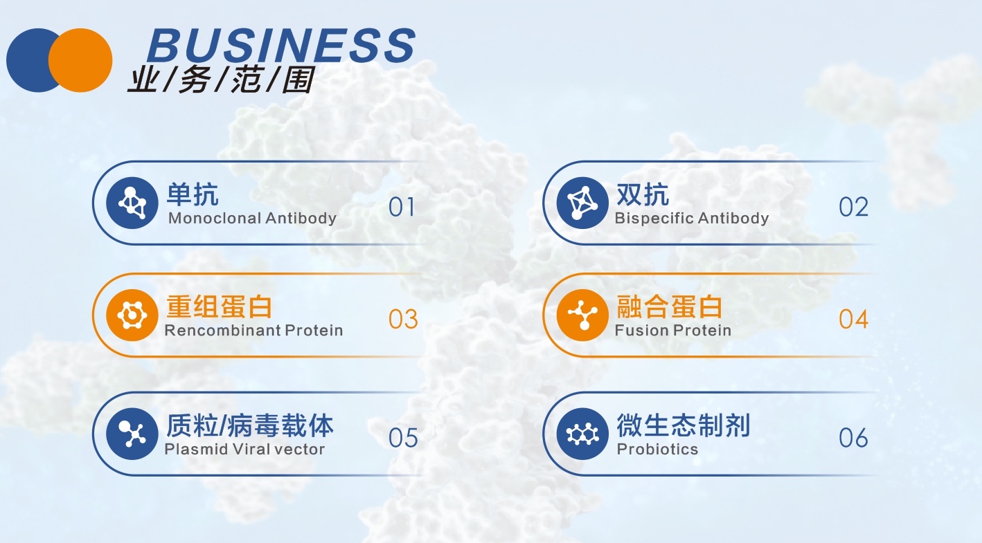 1647841247740404.jpg 業(yè)務(wù)范圍.JPG