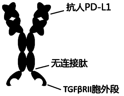 1656659080145406.png 圖片.png