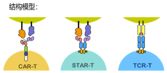 1658199384996818.png image.png