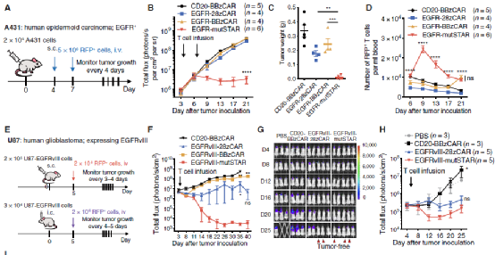 1658199392834300.png image.png