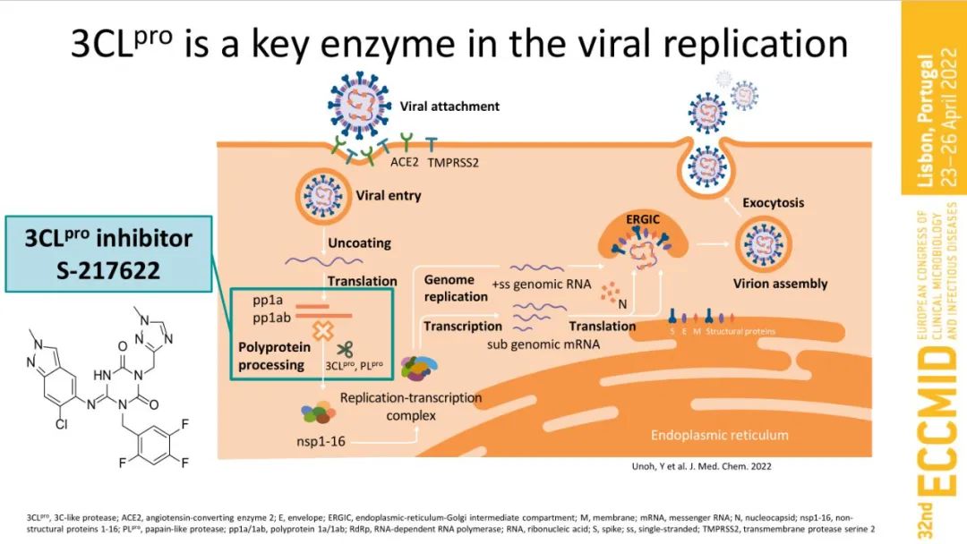 1664414192651011.jpg 12.jpg