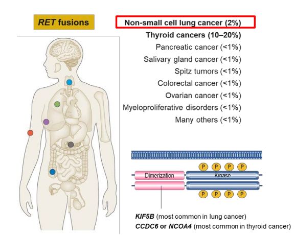 1665280303526551.jpg 3.jpg