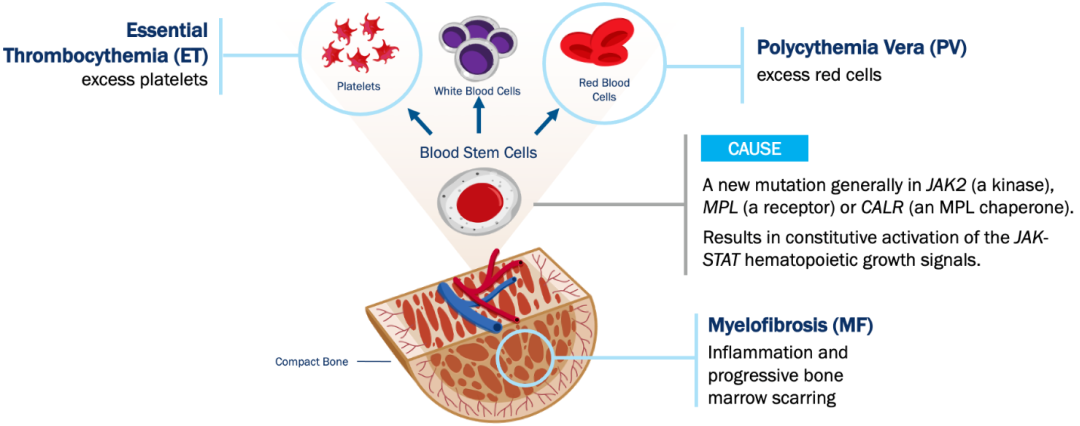 1669087573541932.png 4.png