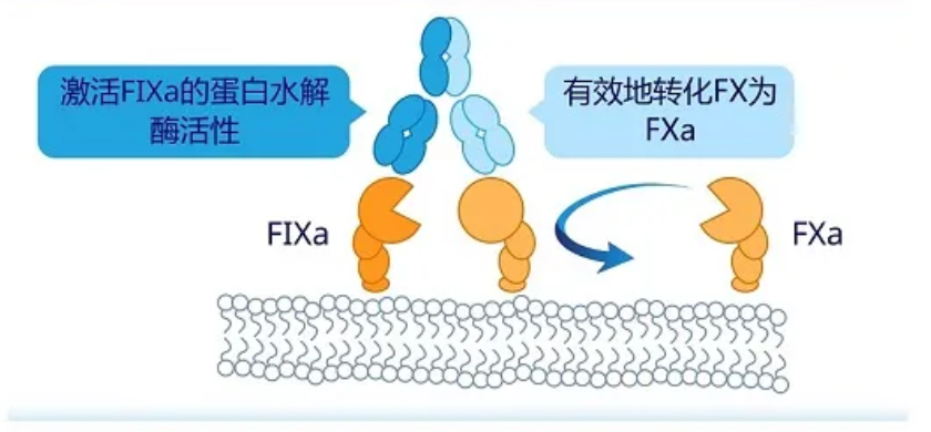 1678936558630265.png 13.png