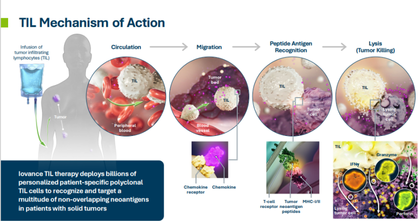 1679879859455004.png 3.png