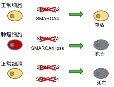 1682234038170531.png 4.png