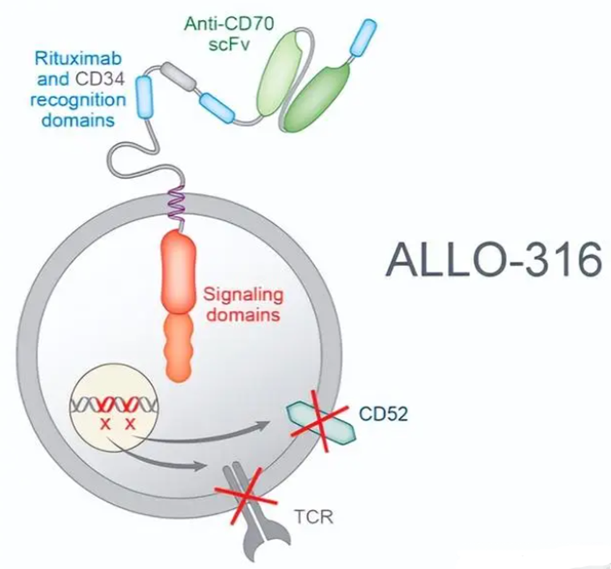 1683356830589739.png 2.png