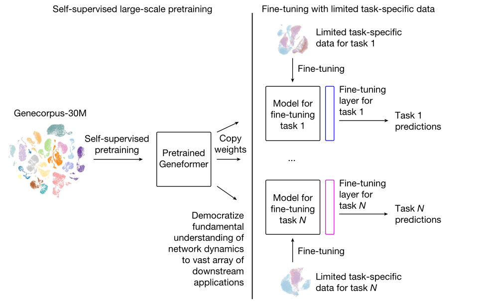 1686814088876211.png 2.1.png