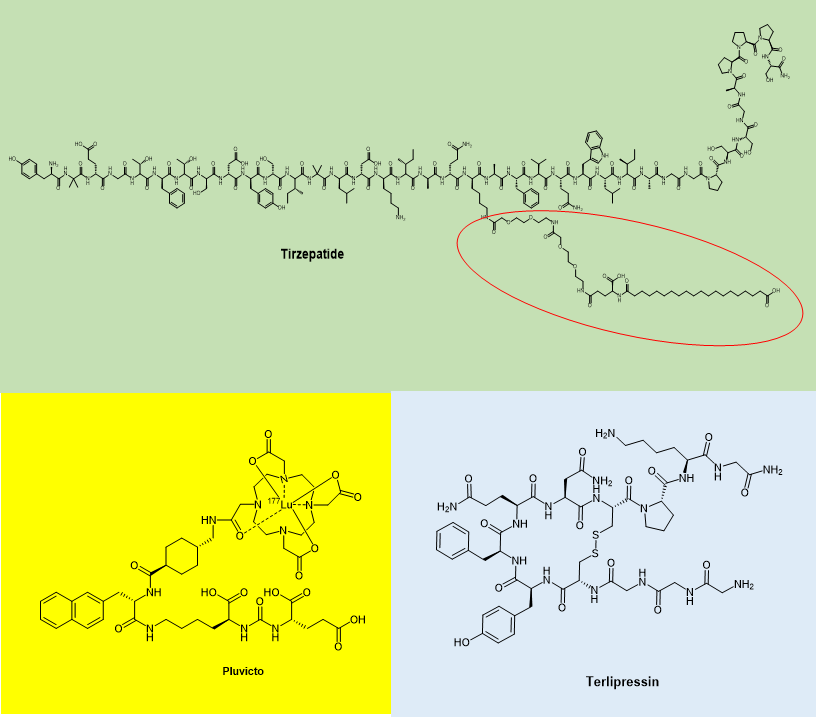 1688969892603947.png 1.png