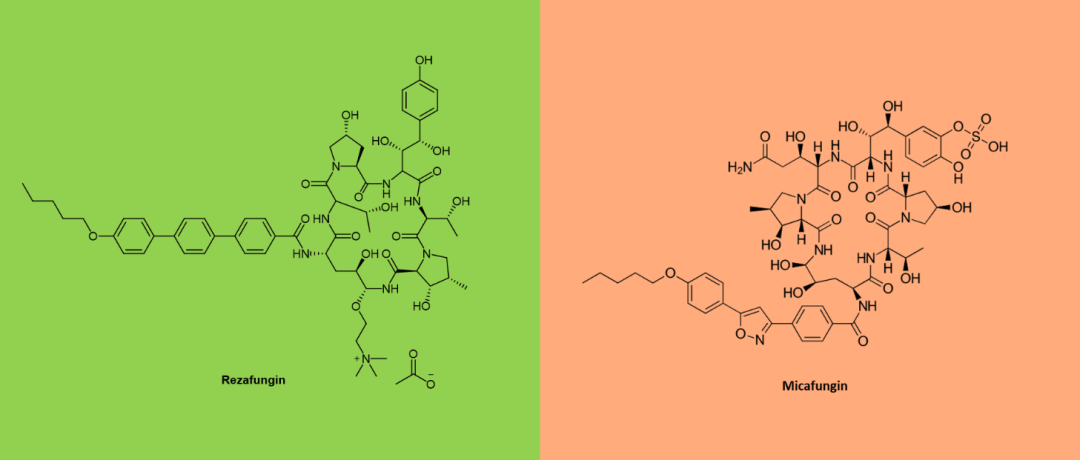 1688969908139631.png 3.png