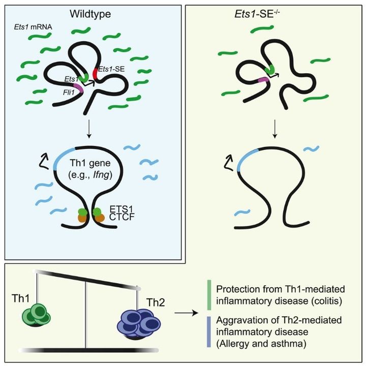 1689299986754326.jpeg 3.jpeg