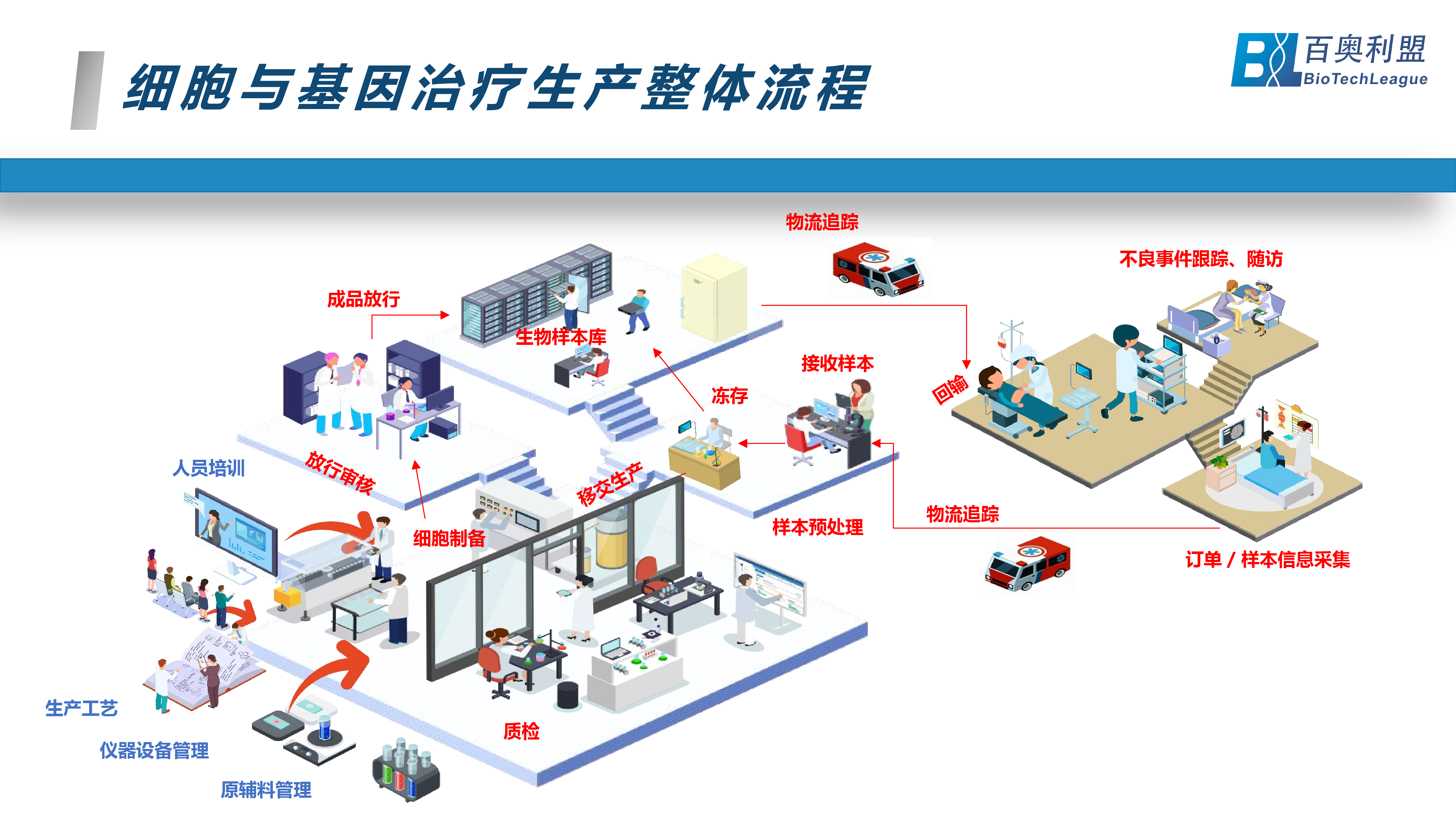 基因治療-展望生命科學(xué)新紀(jì)元 百奧利盟Bio-COI細(xì)胞與基因治療一體化追溯系統(tǒng)為創(chuàng)新生物藥企業(yè)中美申報(bào)之路保駕護(hù)航-03.png