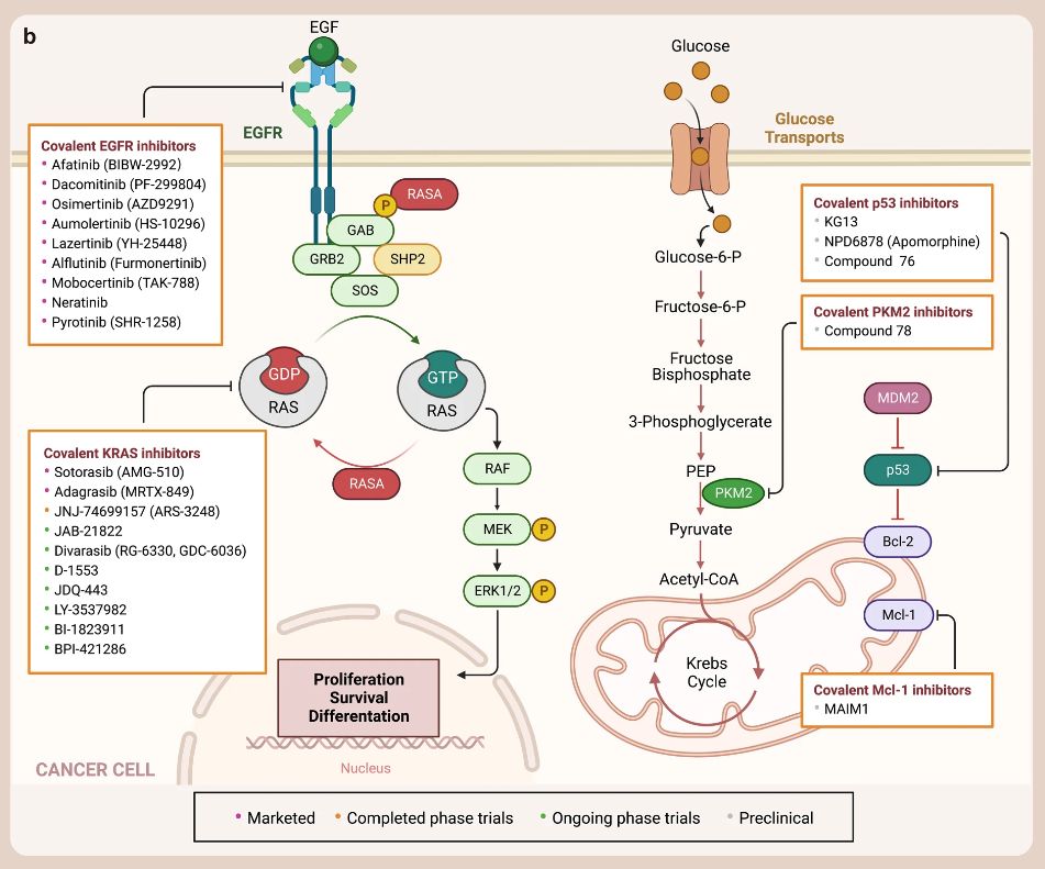 1694765849609501.png 5.png