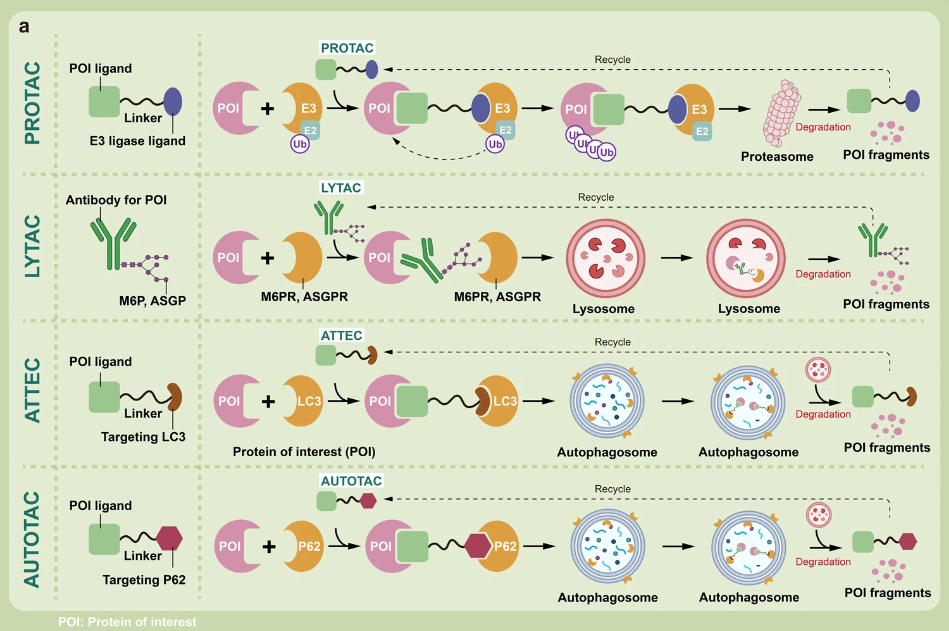 1694765959379450.png 16.png