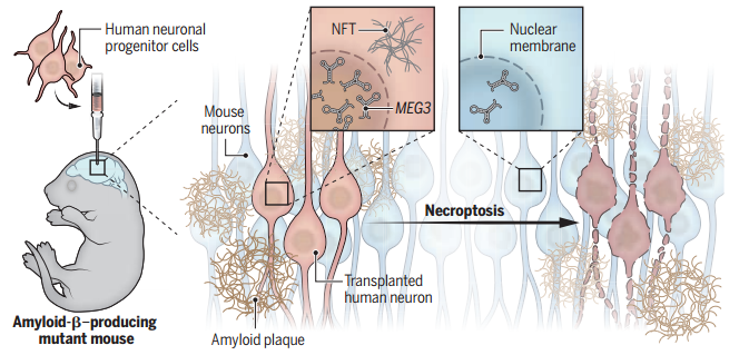 1695276760394214.png 2.png