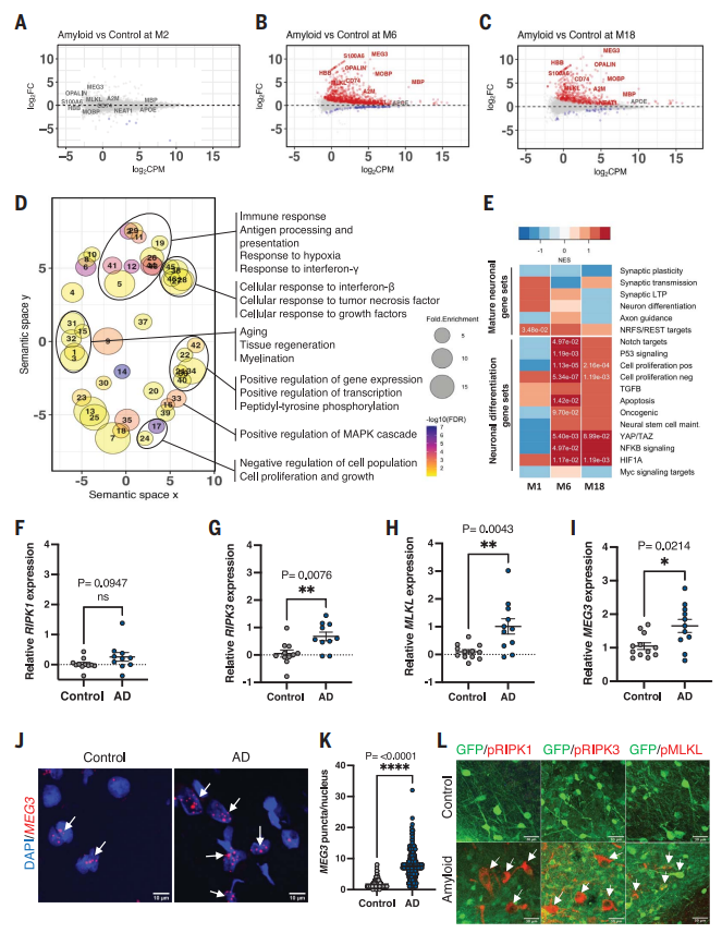 1695276766617148.png 3.png