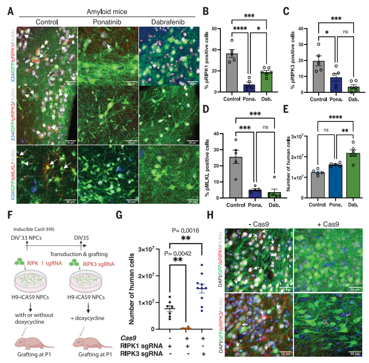 1695276781846753.png 5.png