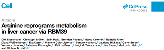 1697161680774240.png A1.png