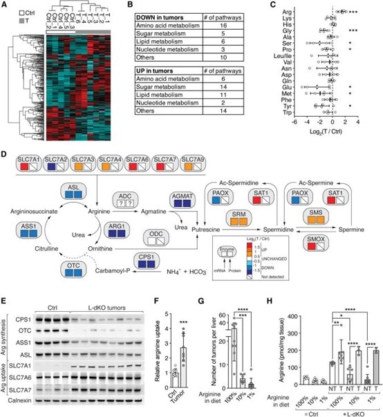 1697161693284791.jpg A2.jpg