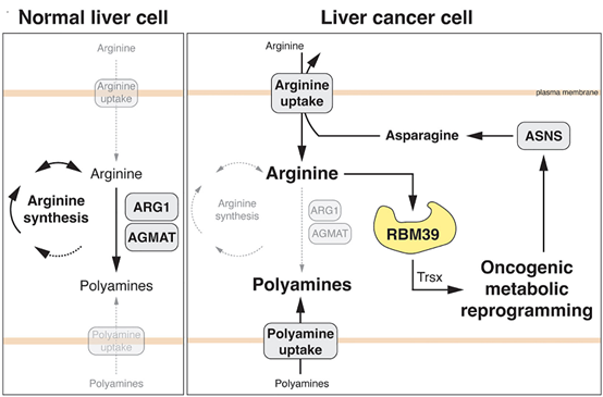 1697161715104551.png A5.png