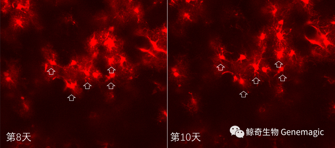 1699425228487229.png 22.png