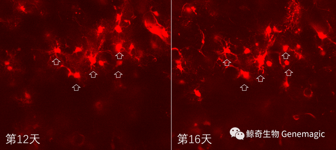 1699425233587672.png 23.png