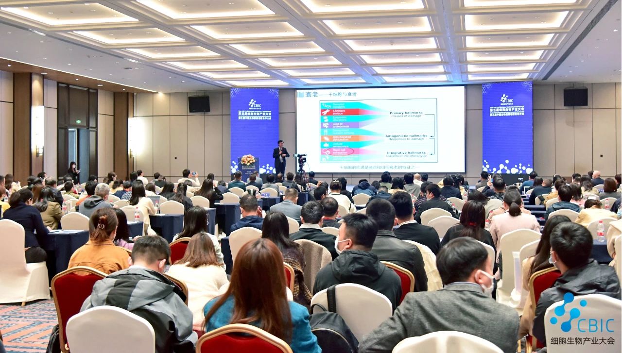 1701940474854112.jpg 3.jpg