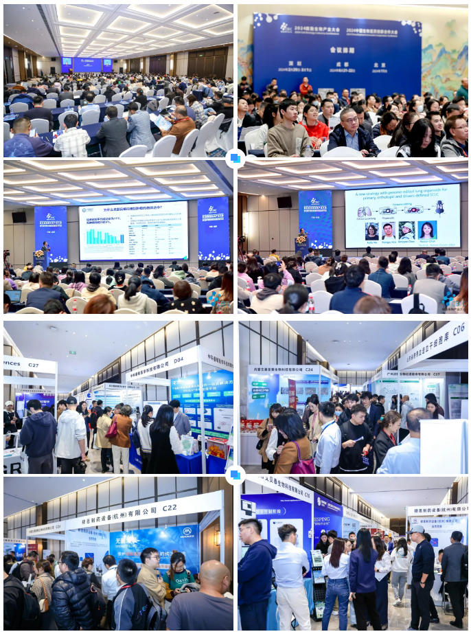 1701940528879878.png 8.png