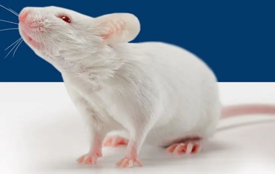 1704699948691512.jpg 圖片1.jpg