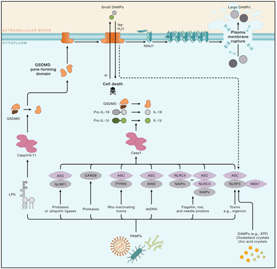 1708500001767089.png C4.png