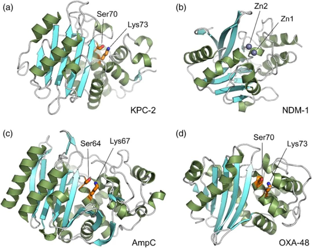 1709628771411312.png 圖片2.png