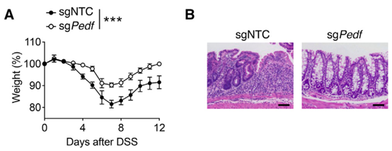 1709629384956571.png 圖片19.png