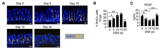 1709629392829424.png 圖片20.png