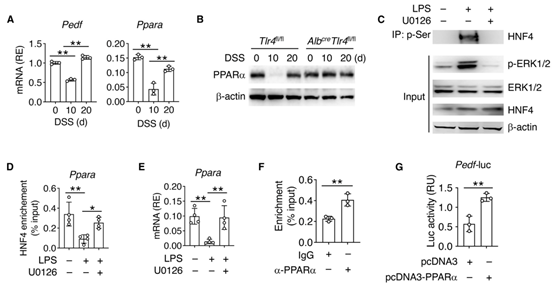 1709629405346274.png 圖片21.png