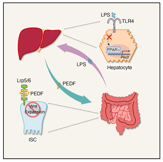 1709629425152034.png 圖片24.png