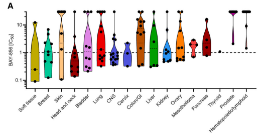 1715592092598780.png 圖片21.png