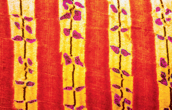 1716949539605157.png 圖片15.png