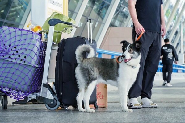 人寵共享健康旅程