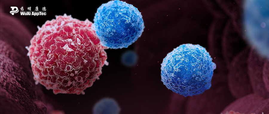 1719458418794380.png 3.png