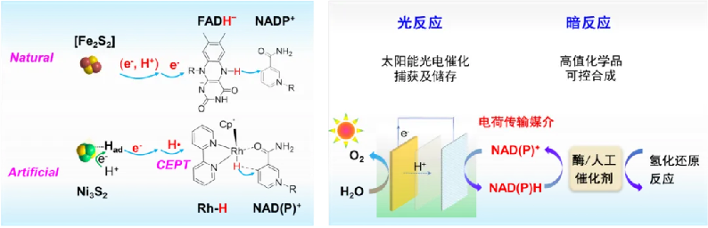 1722851322794880.png 1.png