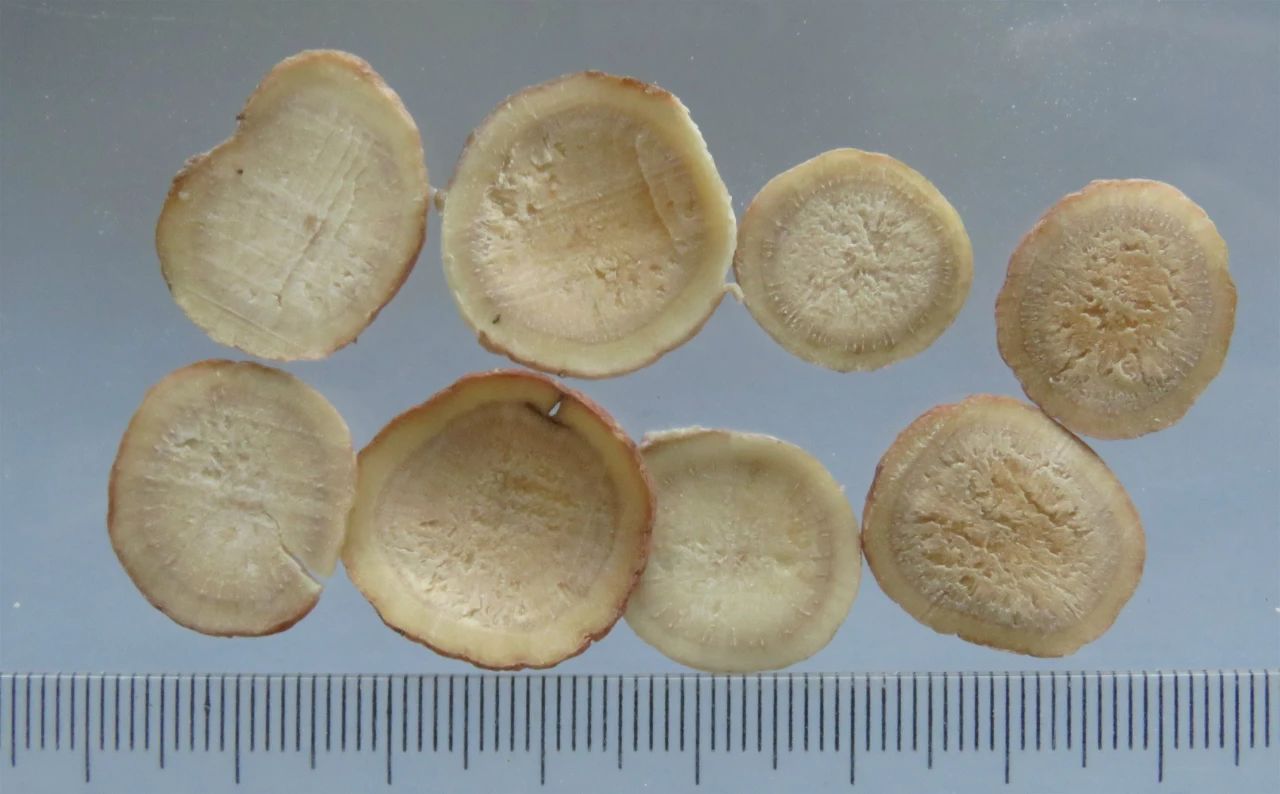 1728957188300877.jpg 57.jpg